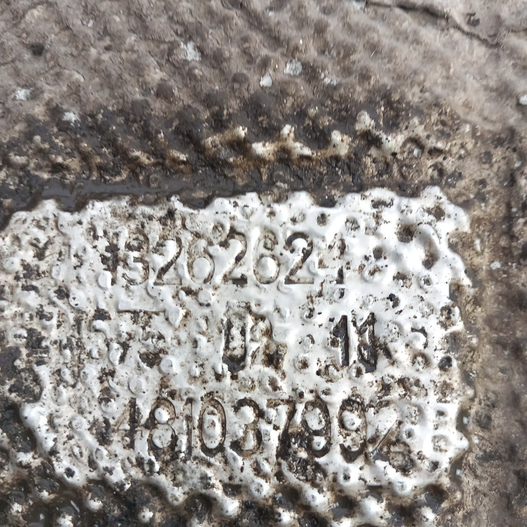 13262624