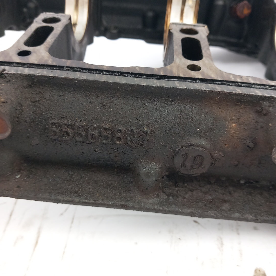 55565807