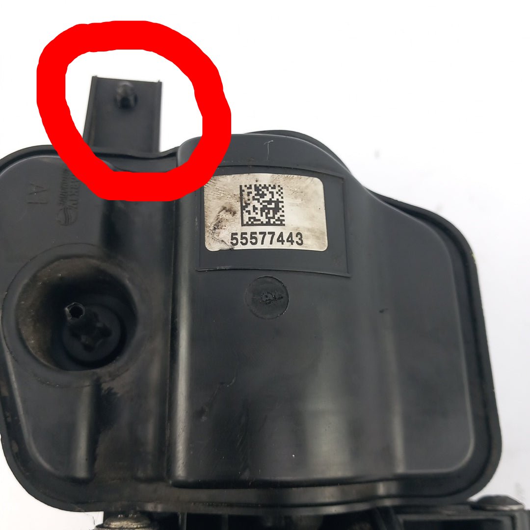 55577443