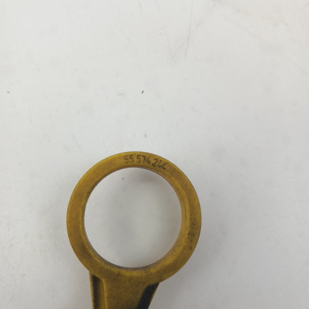 55574244
