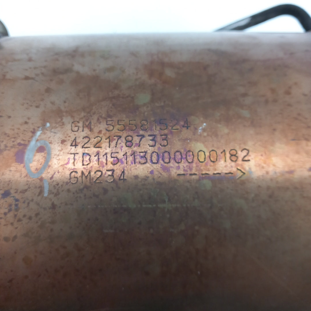 55581524 GM234