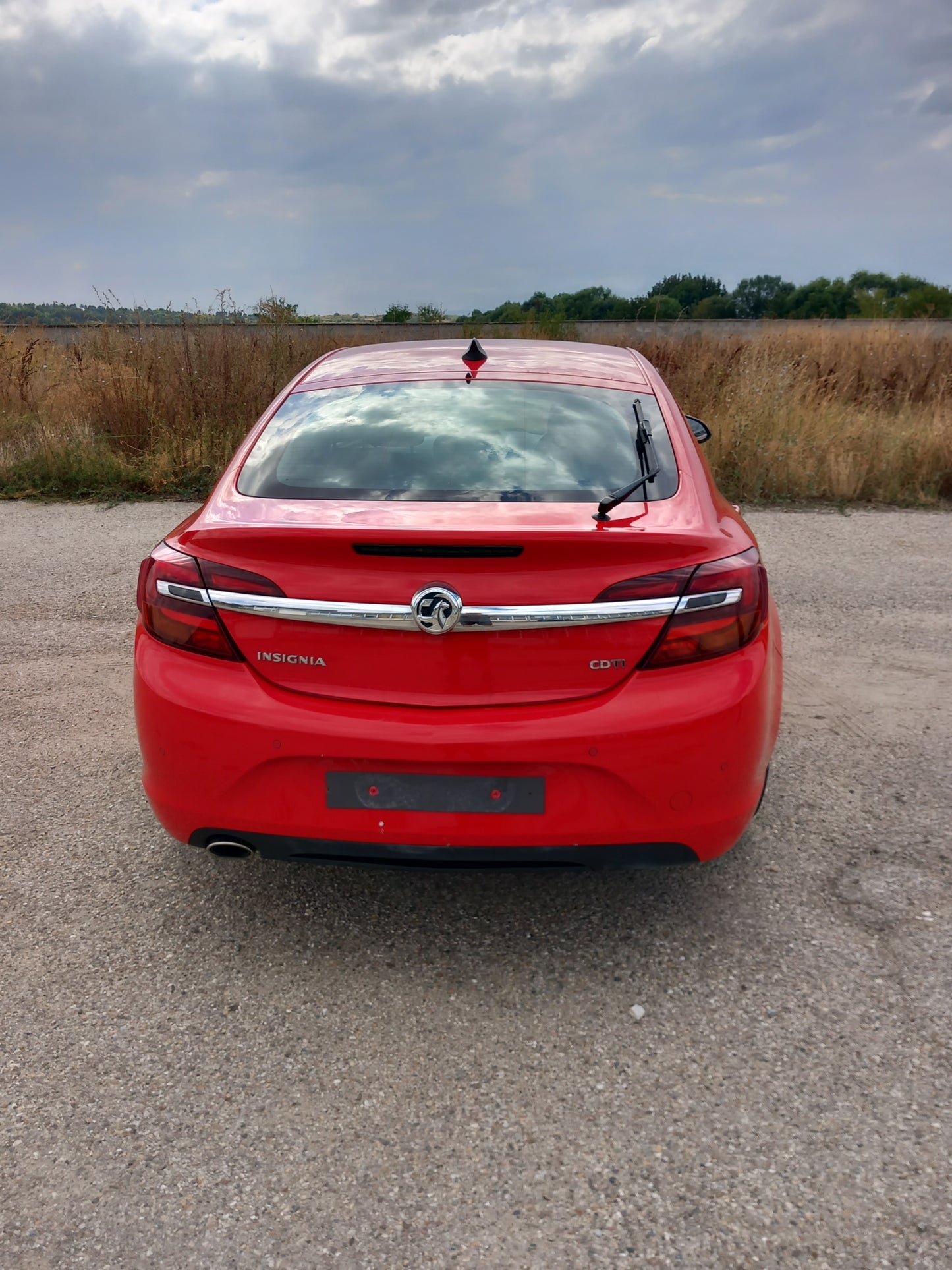Opel Insignia A Facelift red 2,0 CDTI 170кс B20DTH / G0911 снимки
