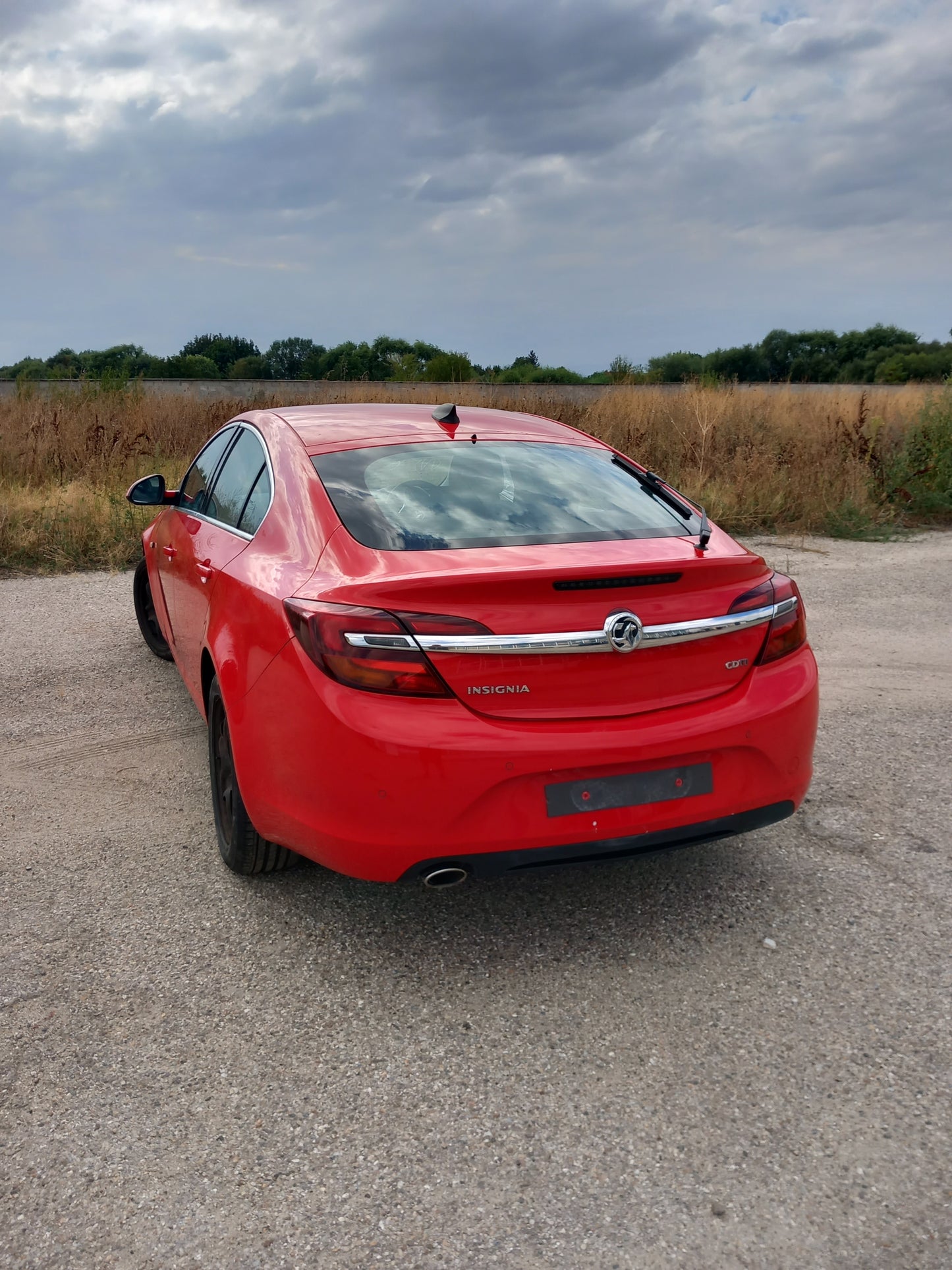 Opel Insignia A Facelift red 2,0 CDTI 170кс B20DTH / G0911 снимки