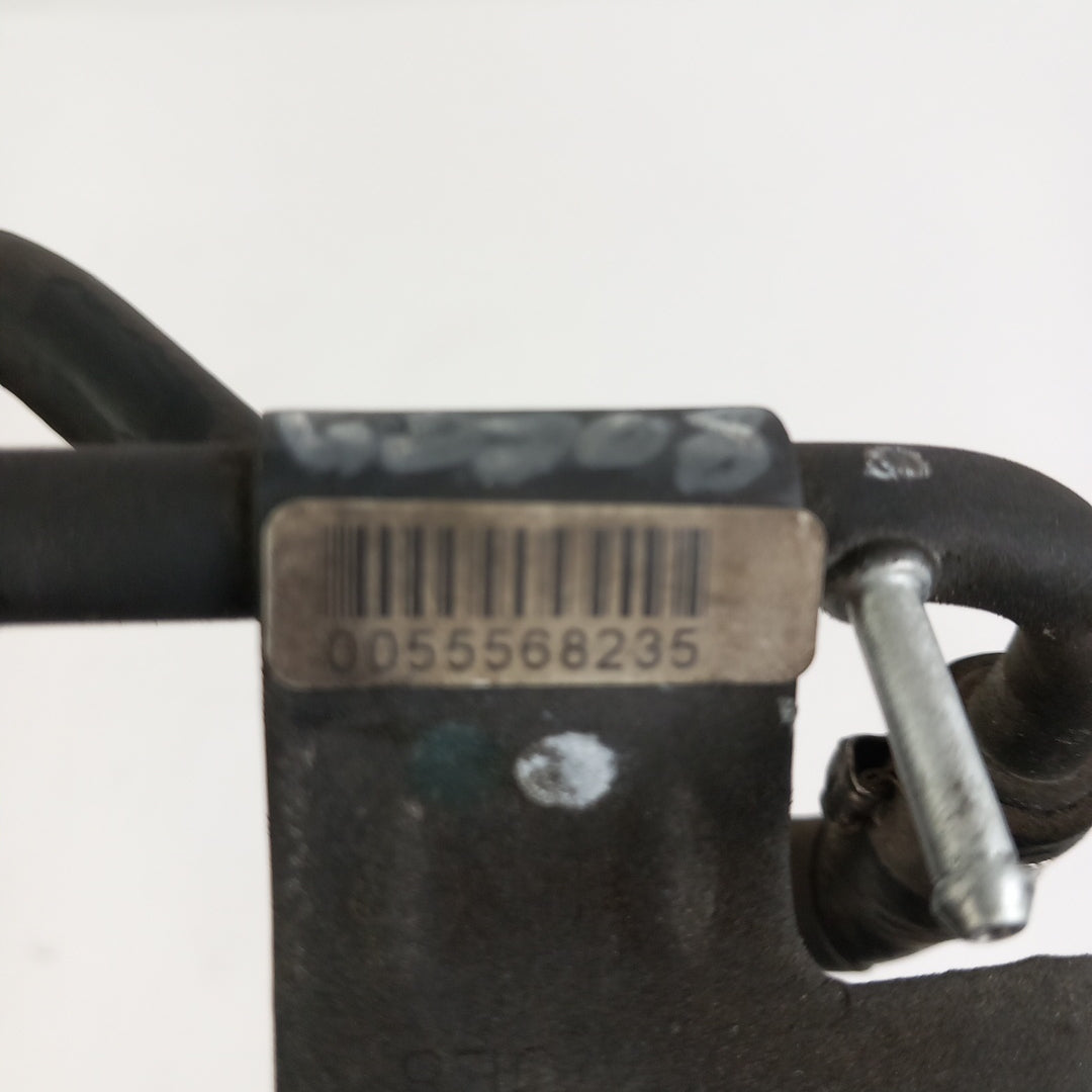55568235