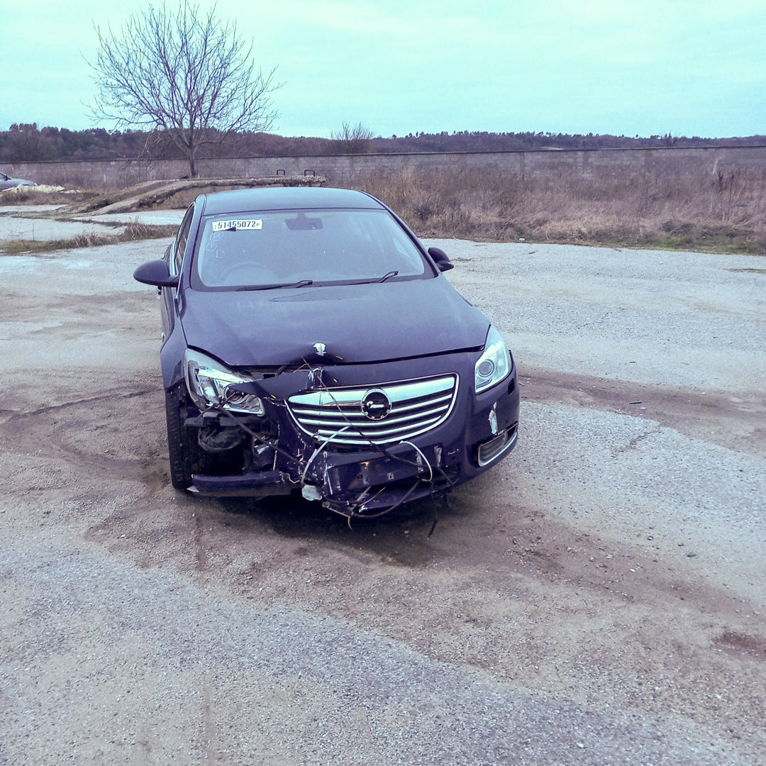 Opel Insignia A 2,0 Turbo A20NHT Blue 2011 / G0909 снимки