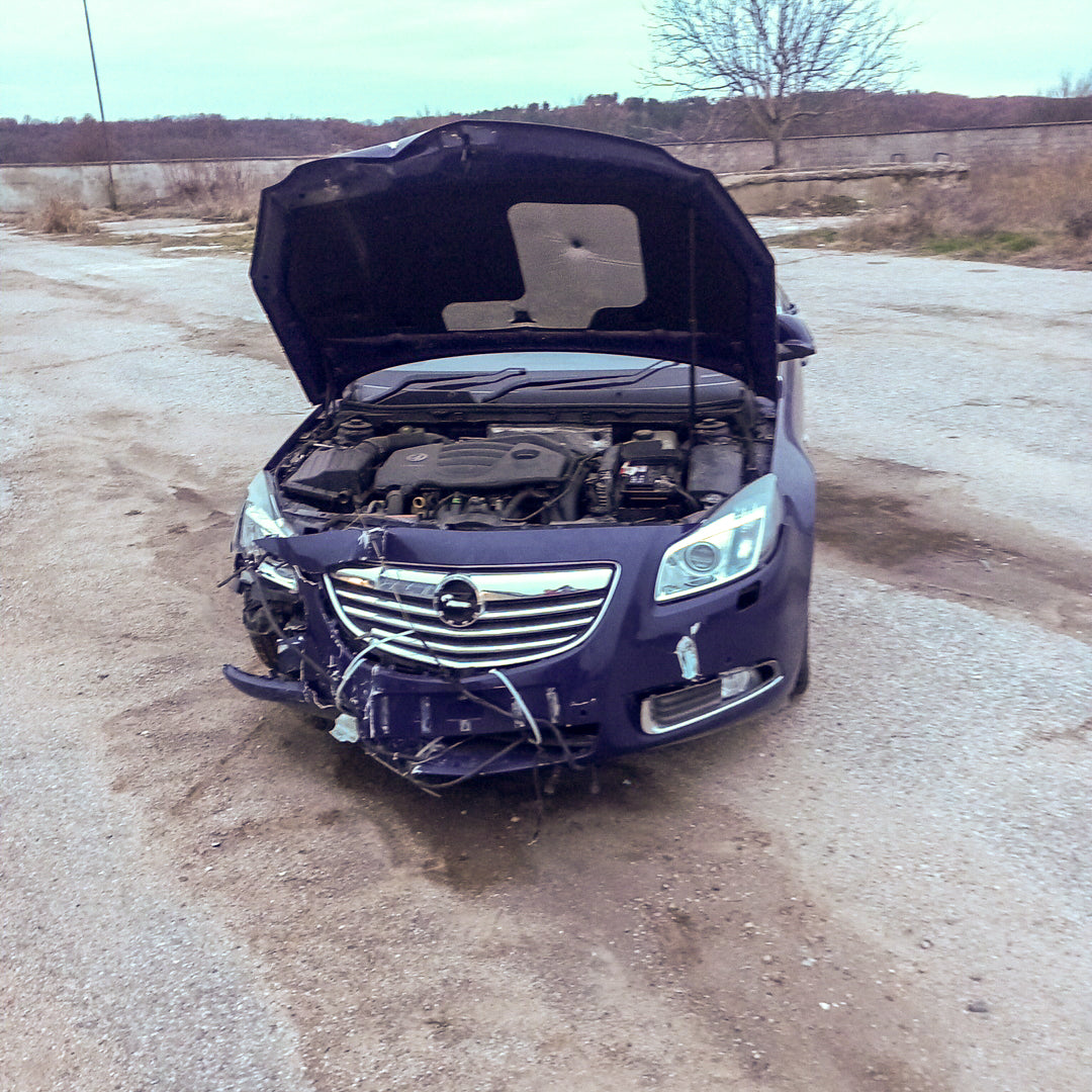 Opel Insignia A 2,0 Turbo A20NHT Blue 2011 / G0909 снимки