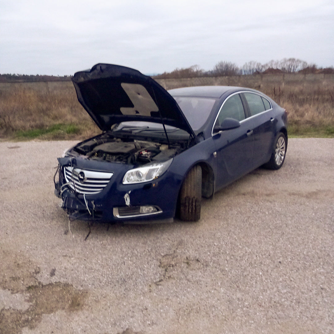 Opel Insignia A 2,0 Turbo A20NHT Blue 2011 / G0909 снимки