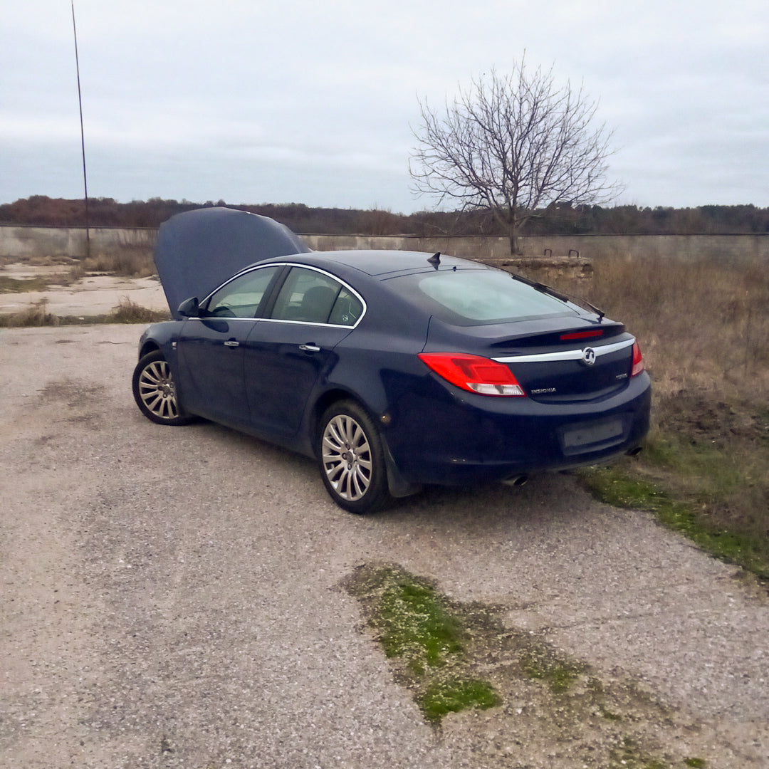 Opel Insignia A 2,0 Turbo A20NHT Blue 2011 / G0909 снимки