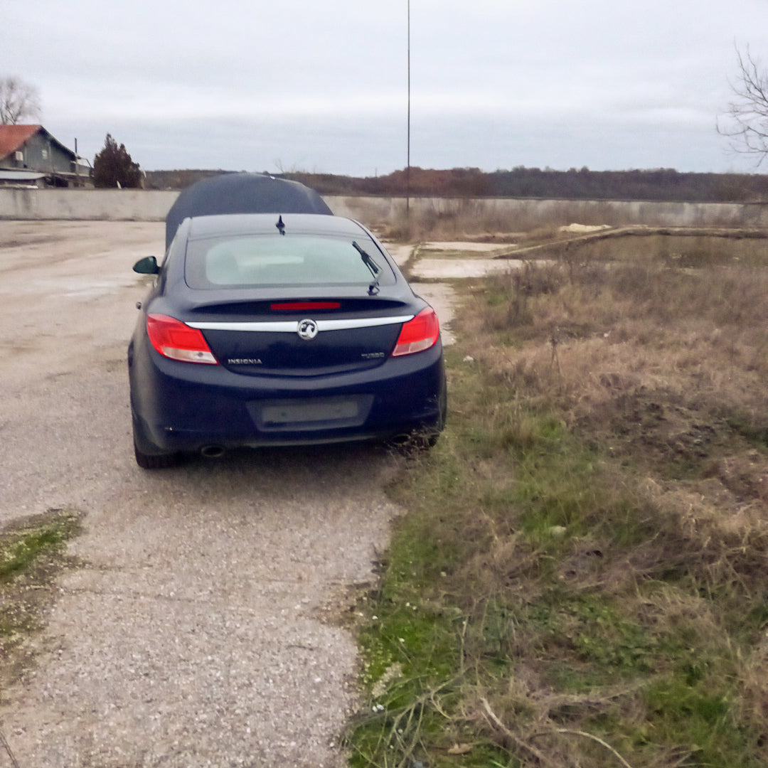Opel Insignia A 2,0 Turbo A20NHT Blue 2011 / G0909 снимки
