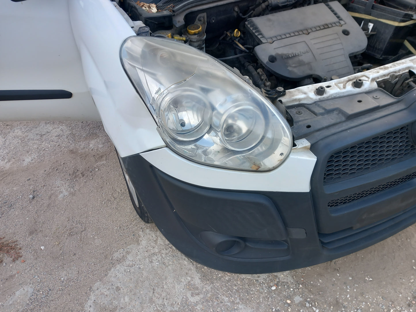 Fiat Doblo 263 1,3 D white 2012 / F2631 снимки