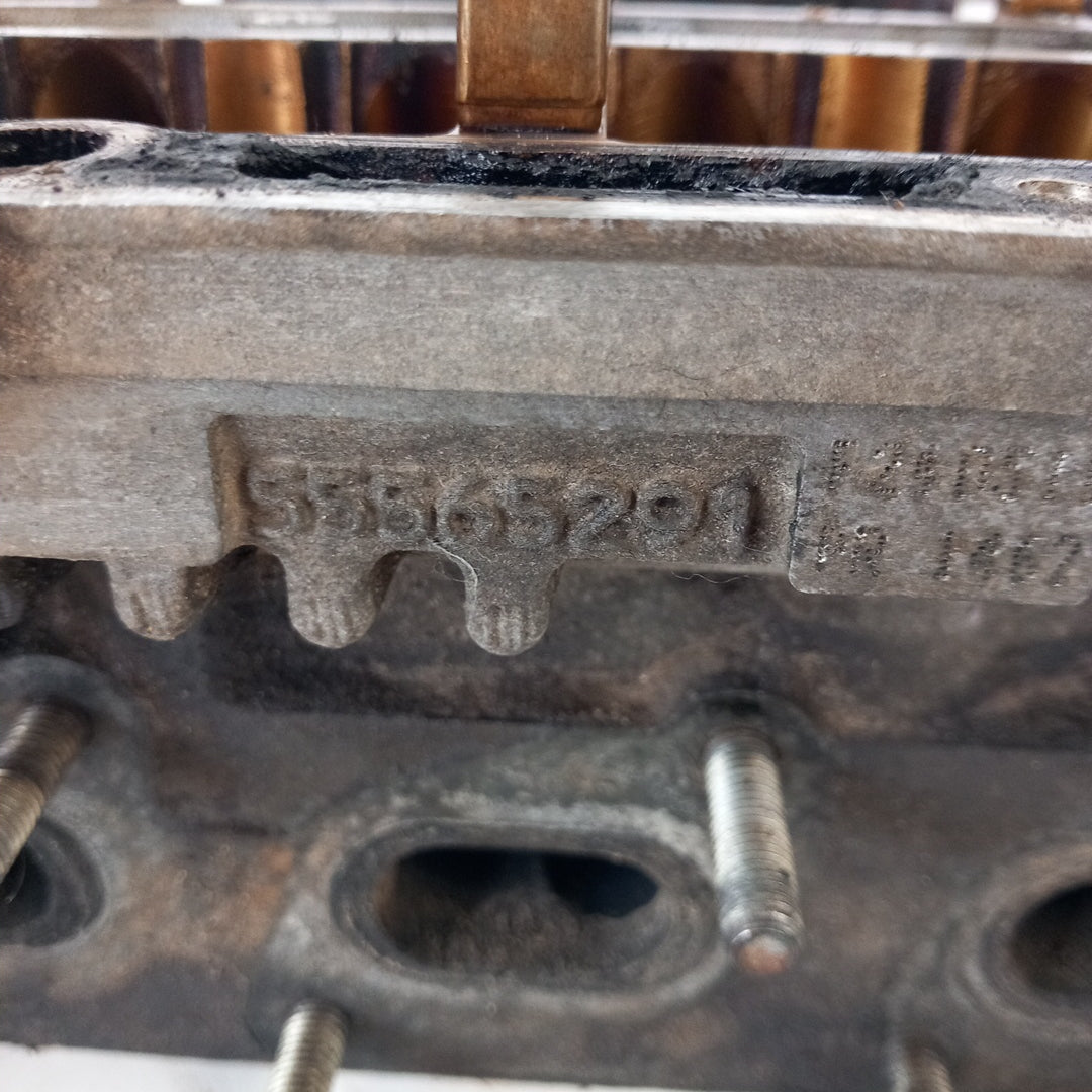 55565291