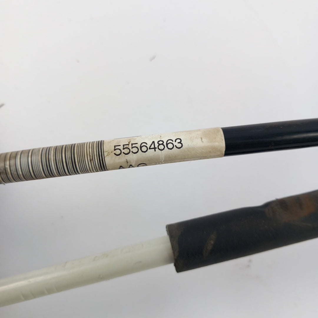 55564863