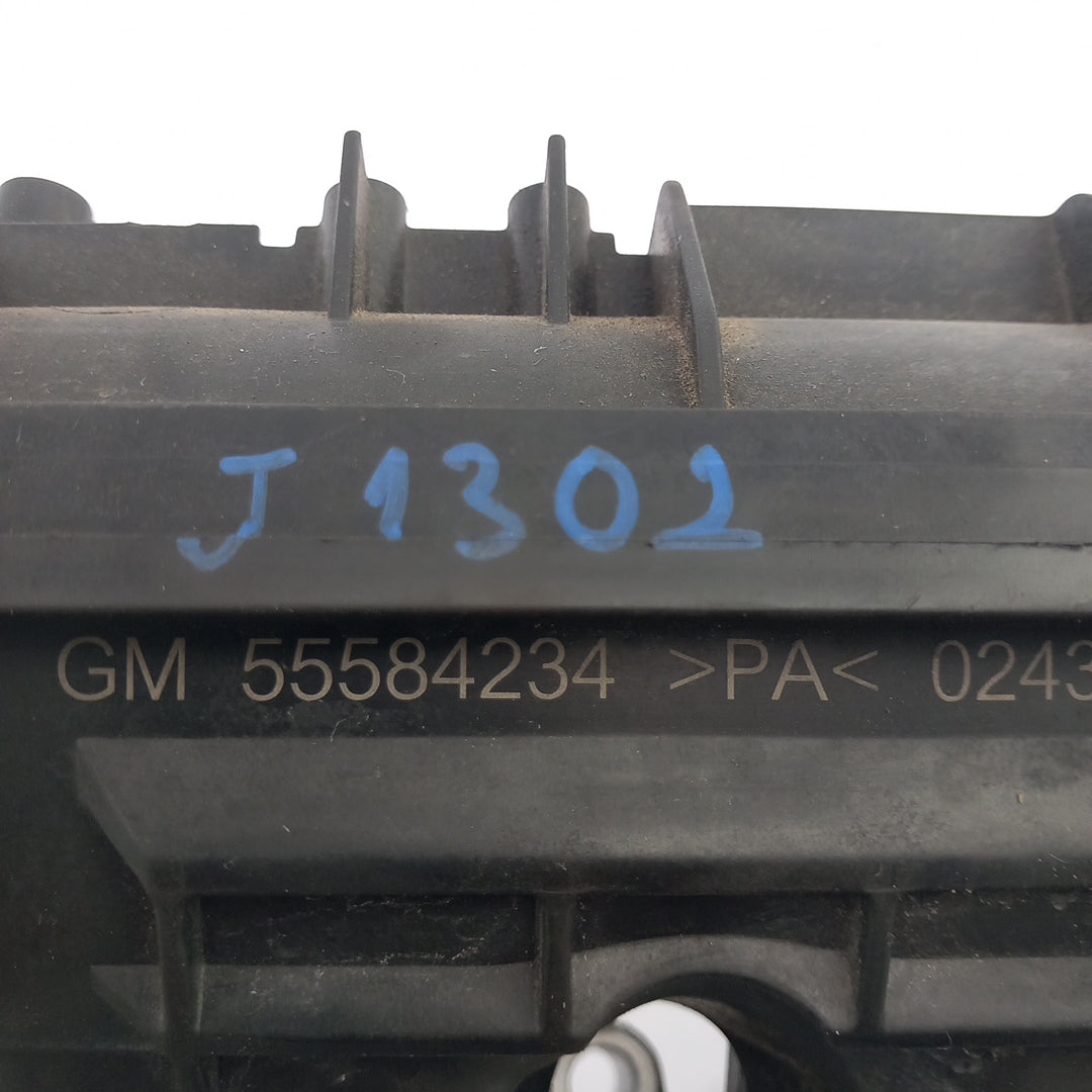 55584234