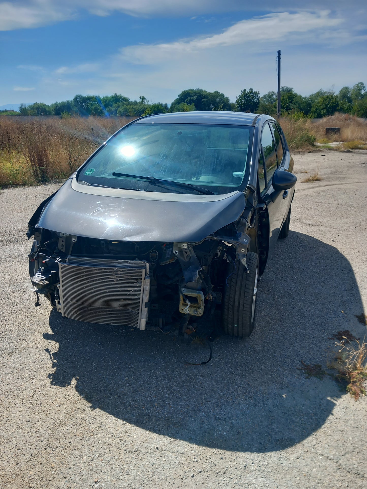 Opel Meriva B 1,4 Grey A14XER S1011-000 снимки