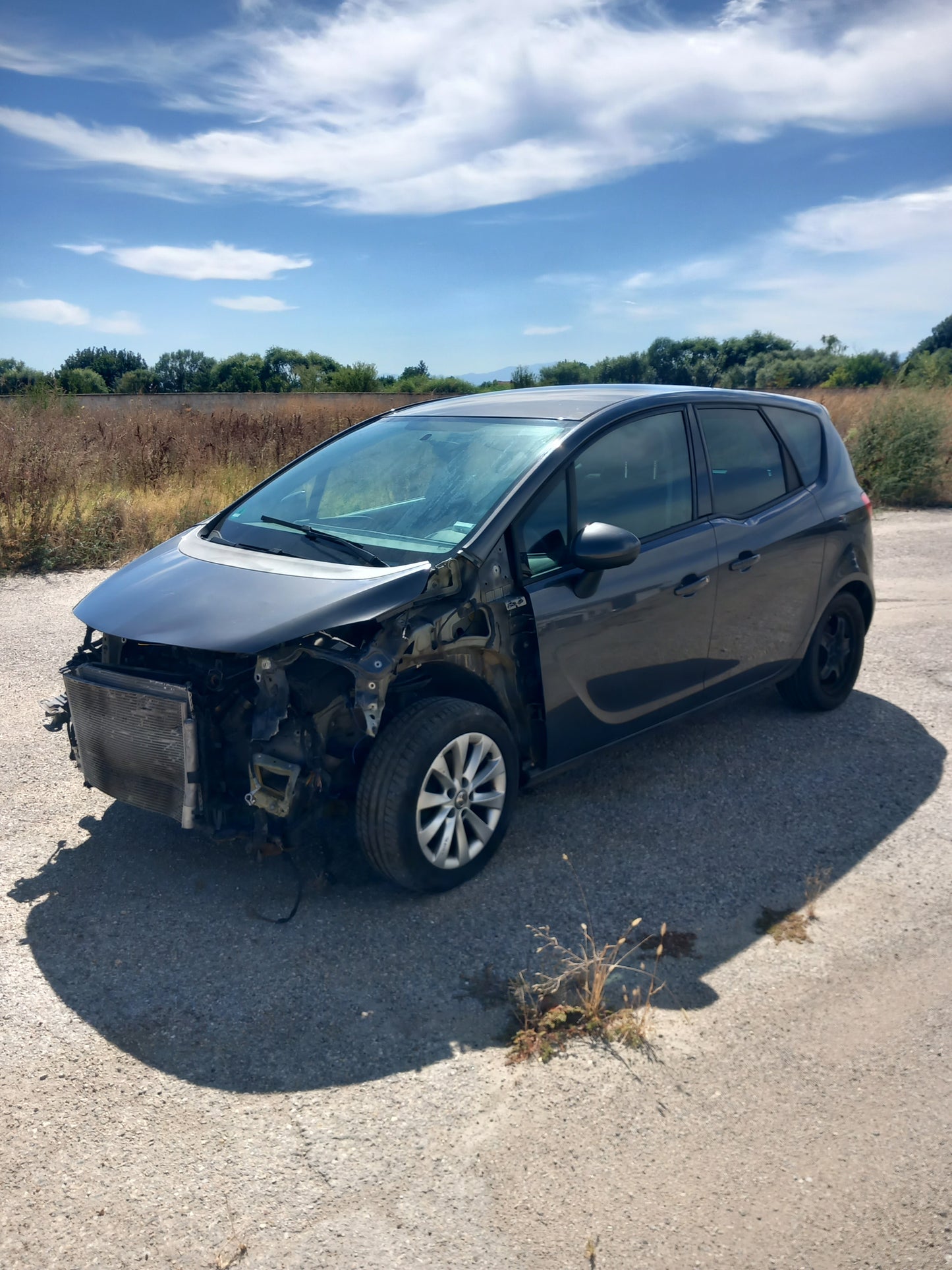 Opel Meriva B 1,4 Grey A14XER S1011-000 снимки