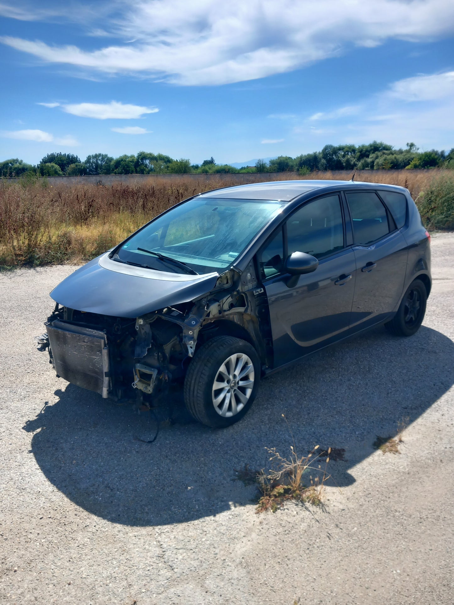 Opel Meriva B 1,4 Grey A14XER S1011-000 снимки