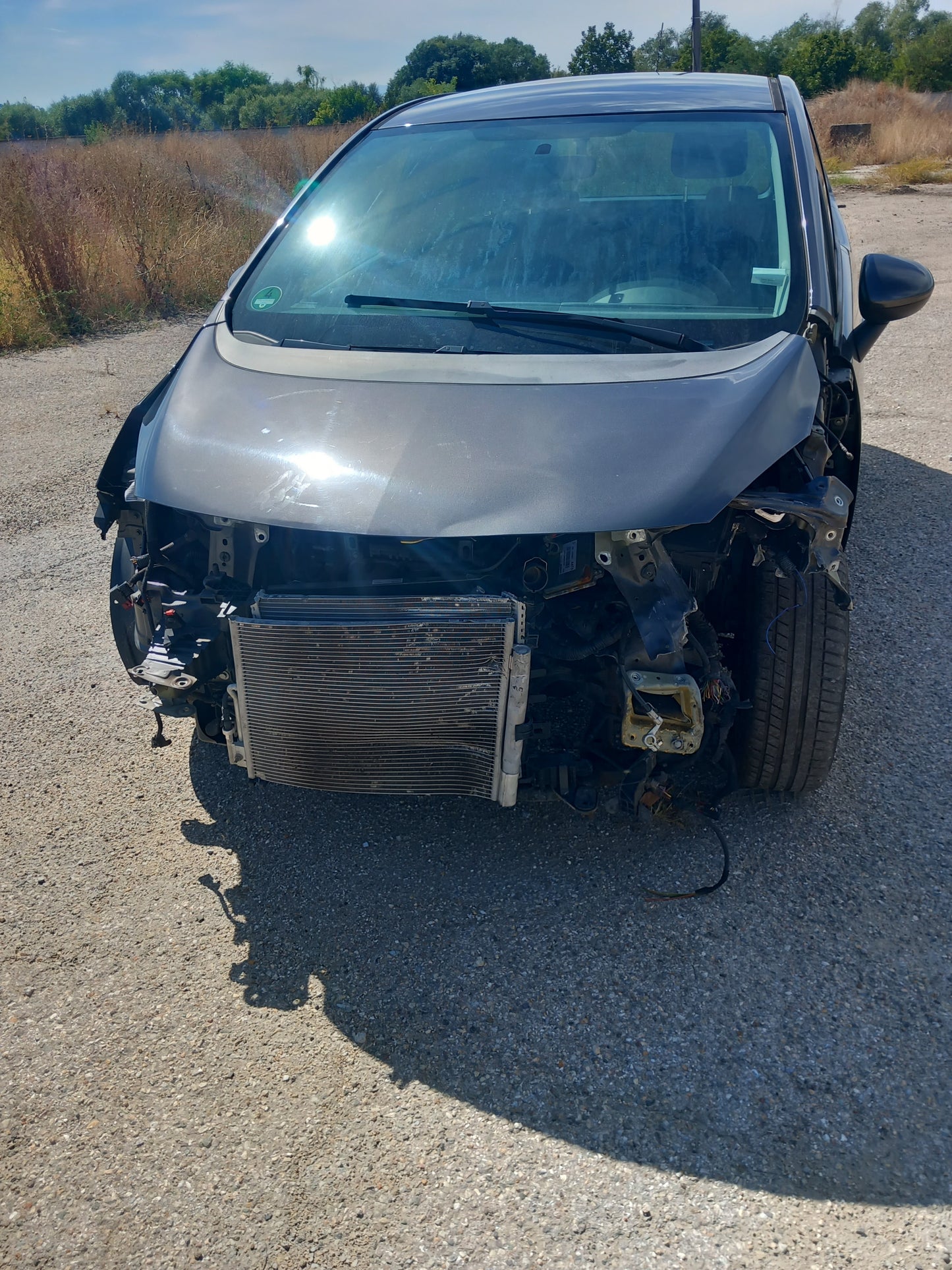 Opel Meriva B 1,4 Grey A14XER S1011-000 снимки