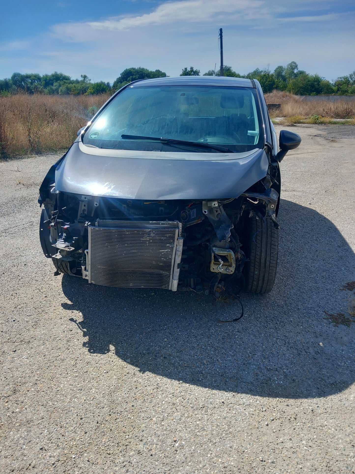 Opel Meriva B 1,4 Grey A14XER S1011-000 снимки