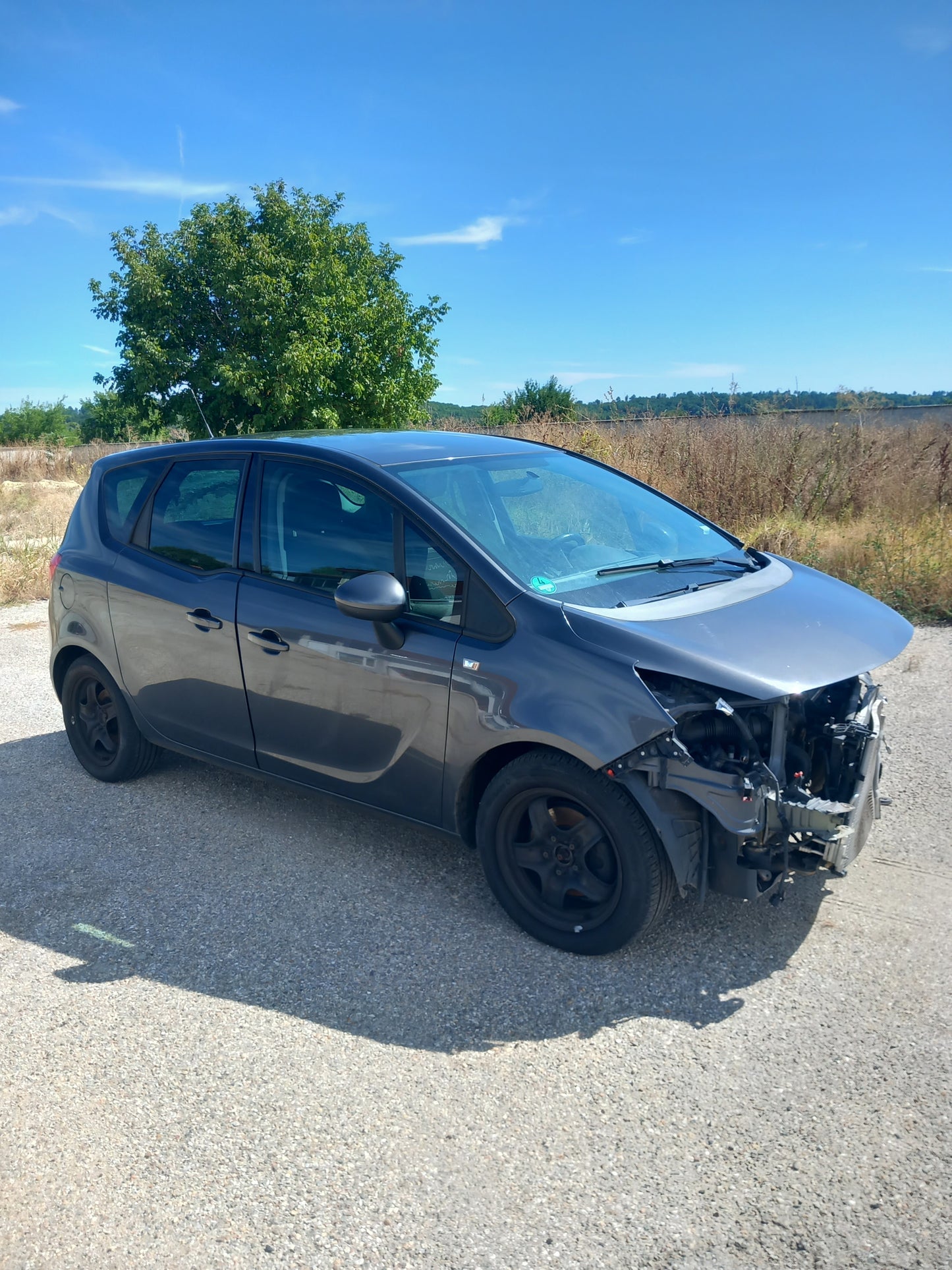 Opel Meriva B 1,4 Grey A14XER S1011-000 снимки