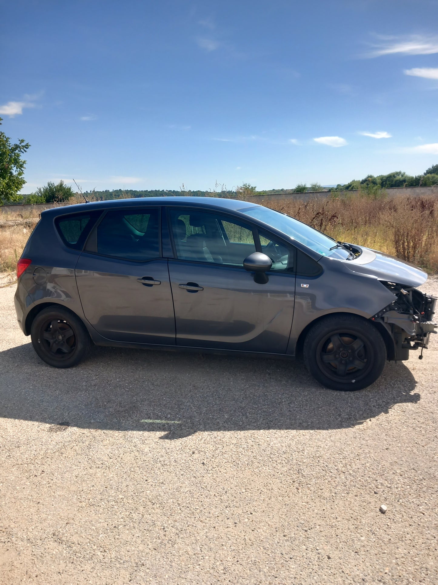 Opel Meriva B 1,4 Grey A14XER S1011-000 снимки