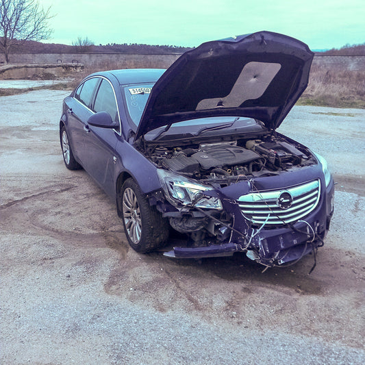 Opel Insignia A 2,0 Turbo A20NHT Blue 2011 / G0909 снимки