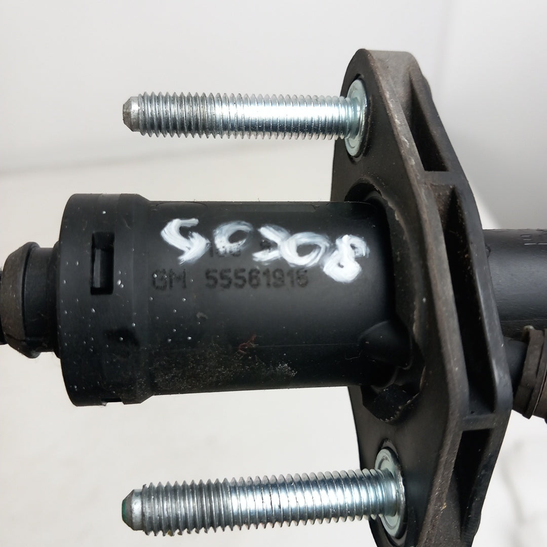 55561915