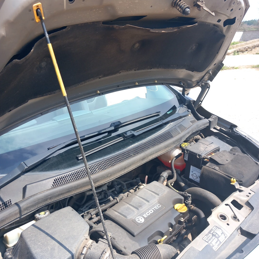 Opel Meriva B 1,4 turbo A14NEL Brown 2011 / S1010 снимки