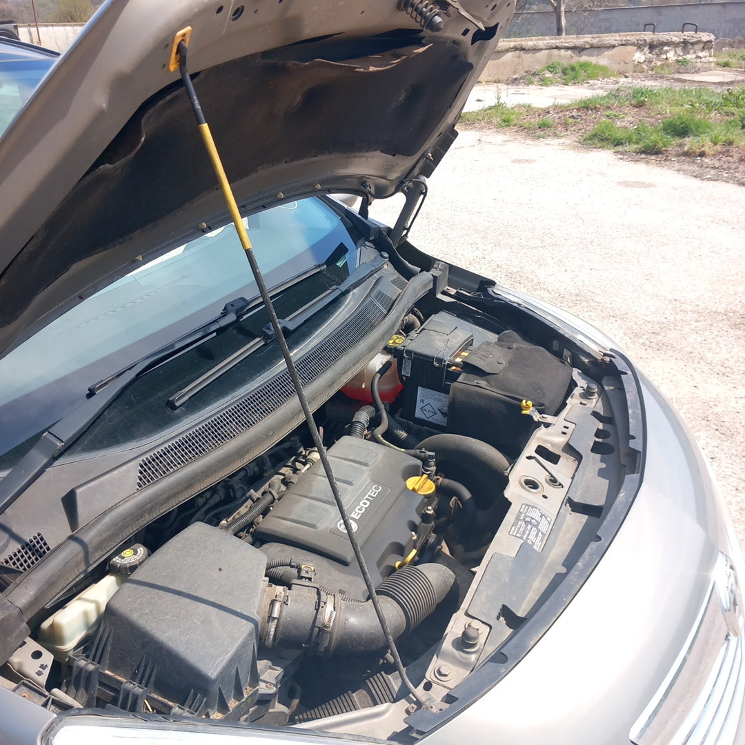 Opel Meriva B 1,4 turbo A14NEL Brown 2011 / S1010 снимки